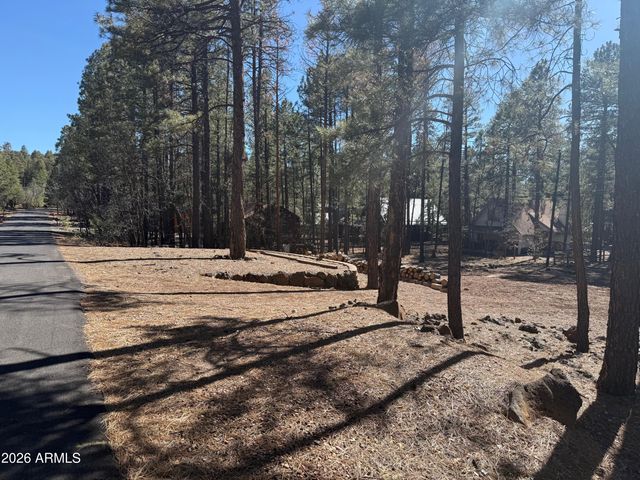 3430 Blacksmith Trail -, Pinetop, AZ 85935