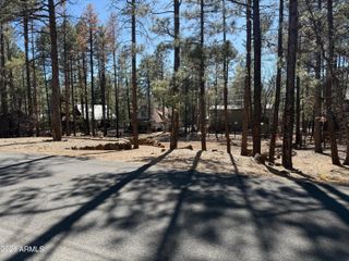 3430 Blacksmith Trail -, Pinetop, AZ 85935