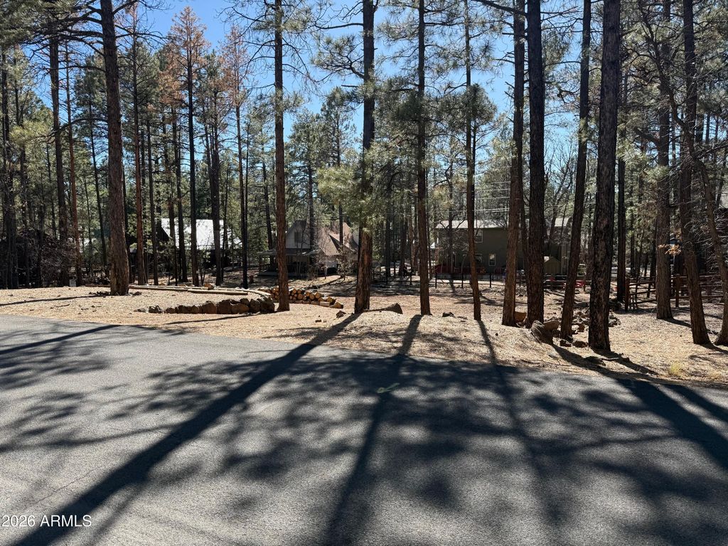 3430 Blacksmith Trail -, Pinetop, AZ 85935