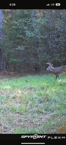 LOT 5 SAGGUS Road, Washington, GA 30673