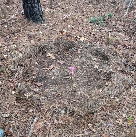 LOT 5 SAGGUS Road, Washington, GA 30673