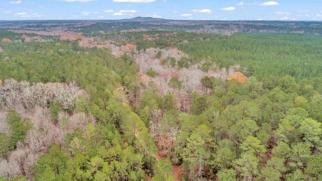 LOT 5 SAGGUS Road, Washington, GA 30673