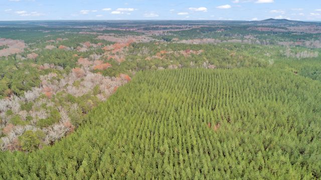 LOT 5 SAGGUS Road, Washington, GA 30673