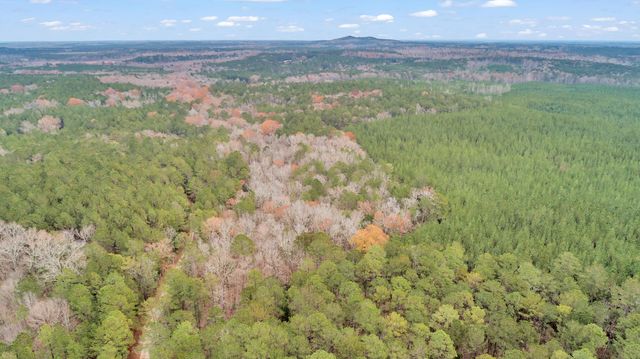 LOT 5 SAGGUS Road, Washington, GA 30673