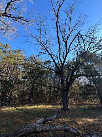 LOT 5 SAGGUS Road, Washington, GA 30673