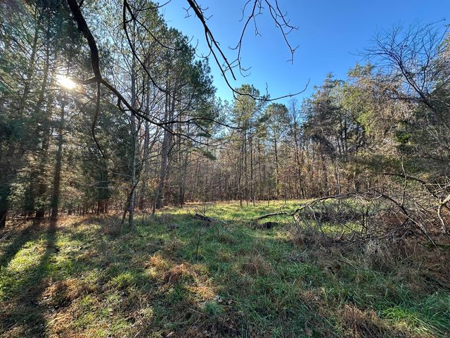 LOT 5 SAGGUS Road, Washington, GA 30673