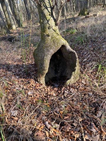 LOT 5 SAGGUS Road, Washington, GA 30673