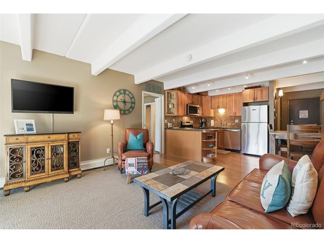 220 E La Bonte St 219, Dillon, CO 80435