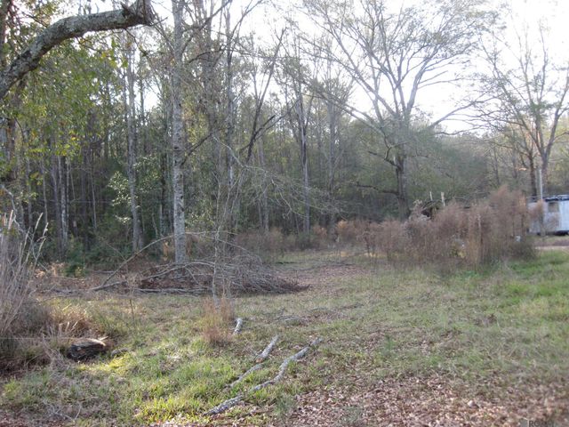 14413 Springfield Rd, Walker, LA 70785