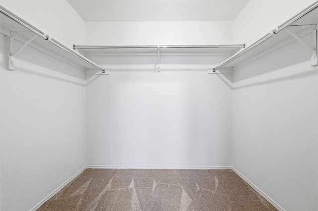 705 Fireberry Drive, Fate, TX 75087