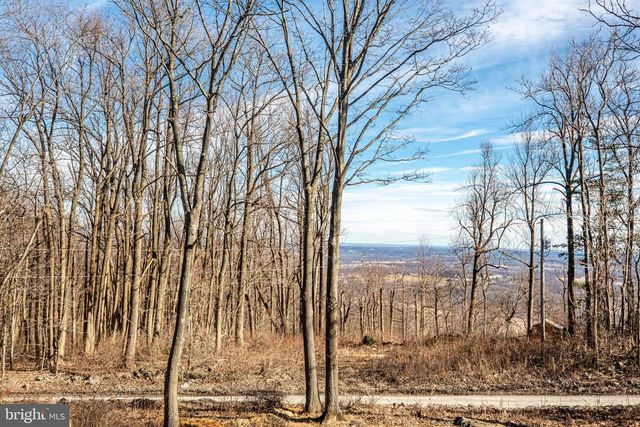 17345 RAVEN ROCKS RD, Bluemont, VA 20135