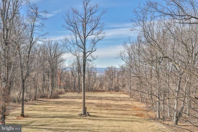 17345 RAVEN ROCKS RD, Bluemont, VA 20135