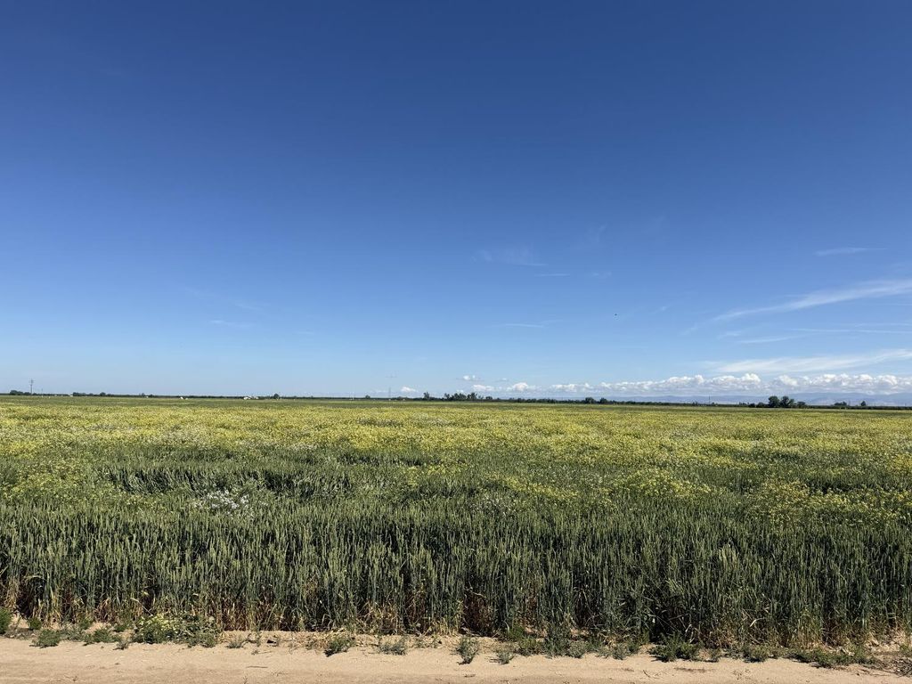 Image 11 of property listing at 8841 Cross Road, Chowchilla, CA 93610