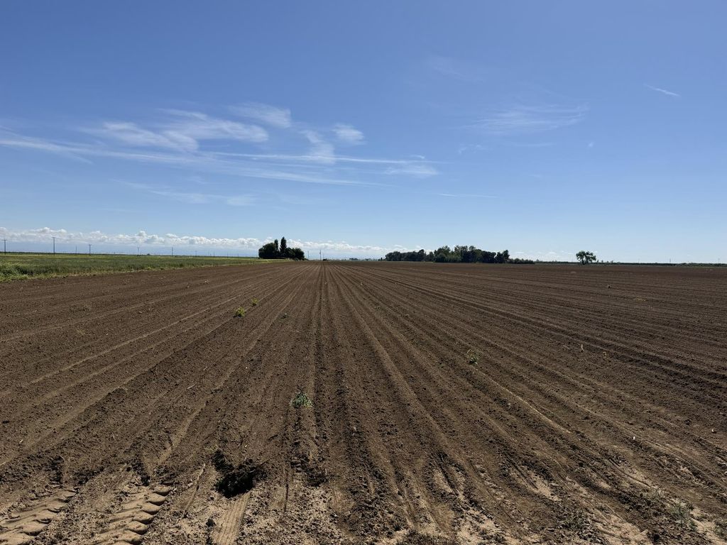 Image 12 of property listing at 8841 Cross Road, Chowchilla, CA 93610