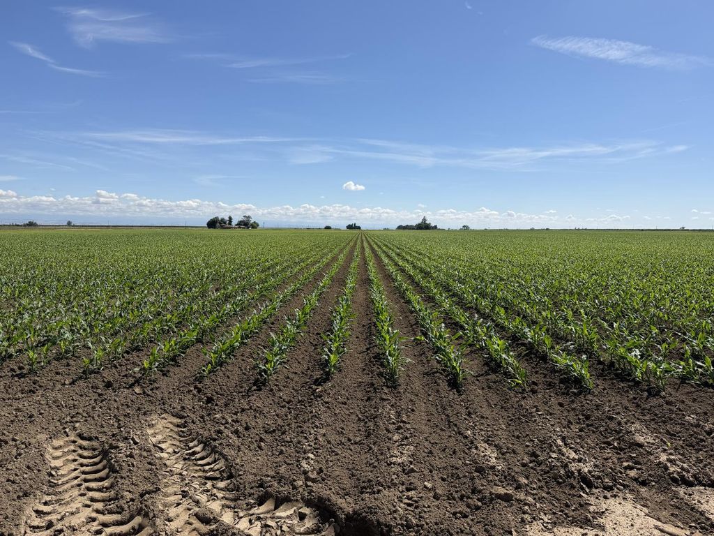 Image 14 of property listing at 8841 Cross Road, Chowchilla, CA 93610