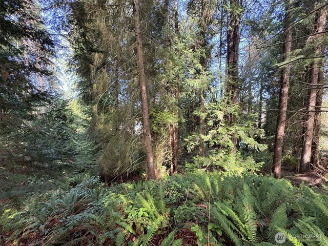 2211 Lindberg Road, Port Angeles, WA 98362