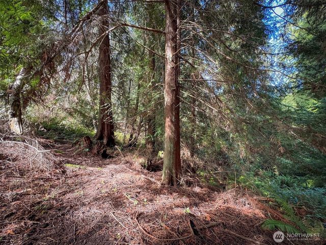 2211 Lindberg Road, Port Angeles, WA 98362