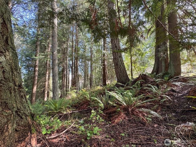 2211 Lindberg Road, Port Angeles, WA 98362