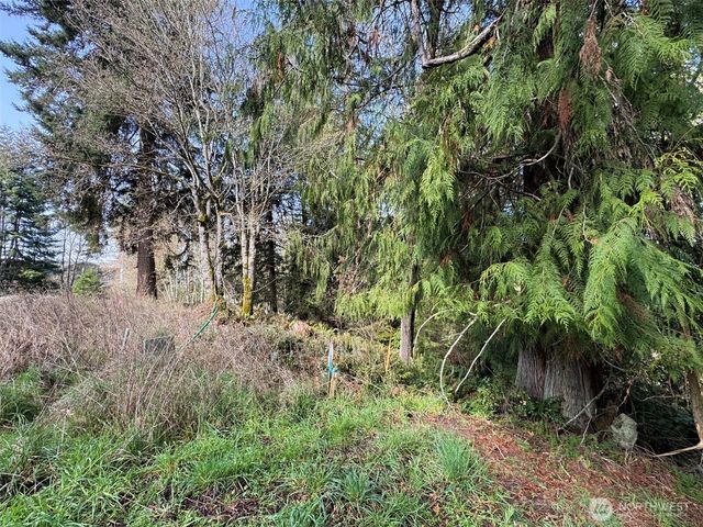 2211 Lindberg Road, Port Angeles, WA 98362