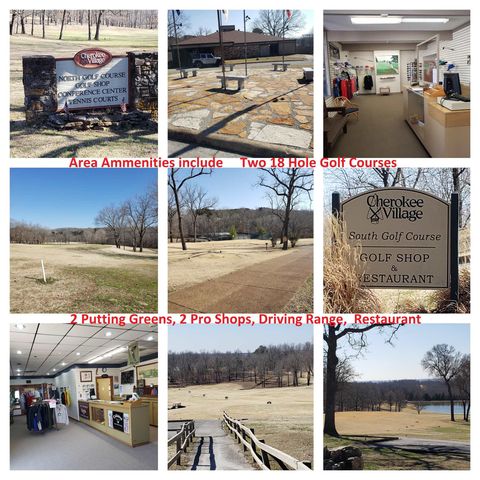 2 Skeinah Circle, Cherokee Village, AR 72529