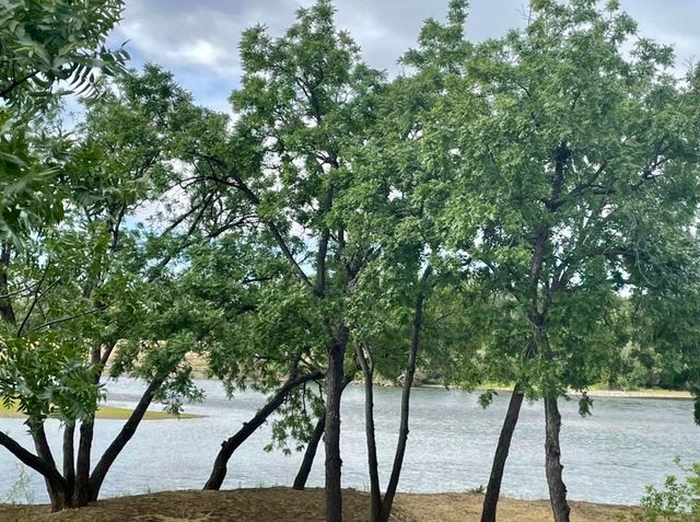 22537 Edgewater Drive, Cottonwood, CA 96022