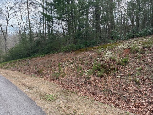 Lot 13 Frances Drive, Ellijay, GA 30536