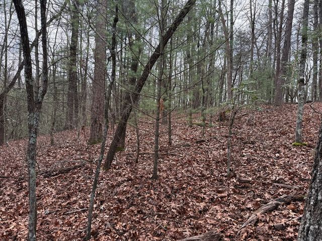 Lot 13 Frances Drive, Ellijay, GA 30536