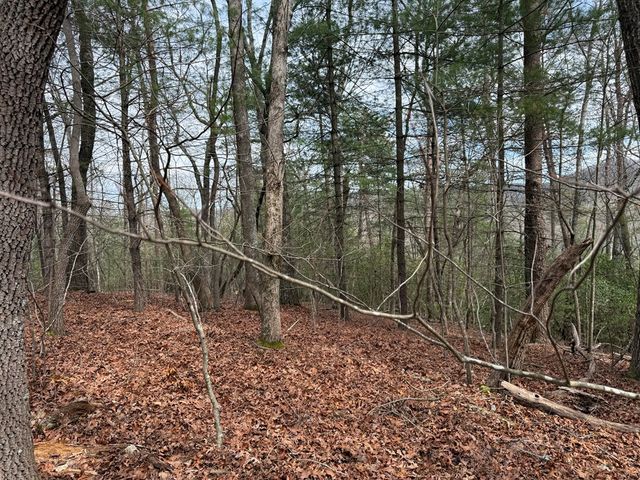 Lot 13 Frances Drive, Ellijay, GA 30536