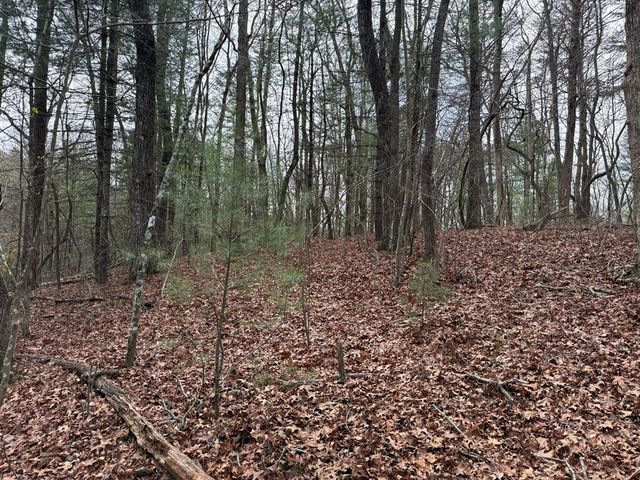 Lot 13 Frances Drive, Ellijay, GA 30536