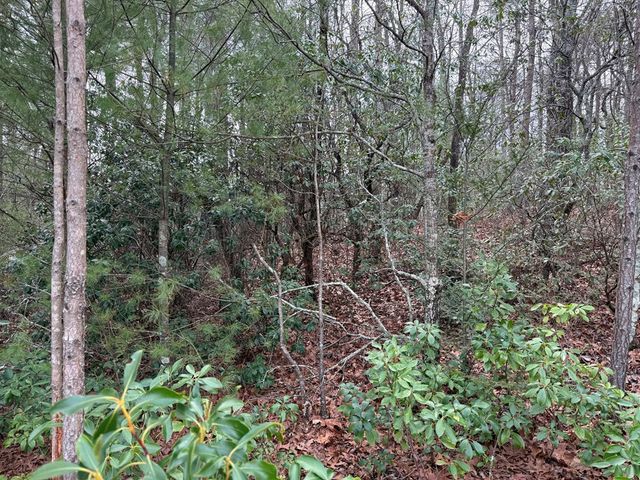 Lot 13 Frances Drive, Ellijay, GA 30536