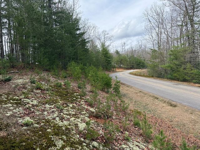 Lot 13 Frances Drive, Ellijay, GA 30536