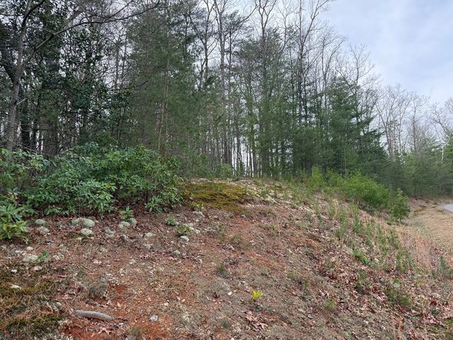 Lot 13 Frances Drive, Ellijay, GA 30536