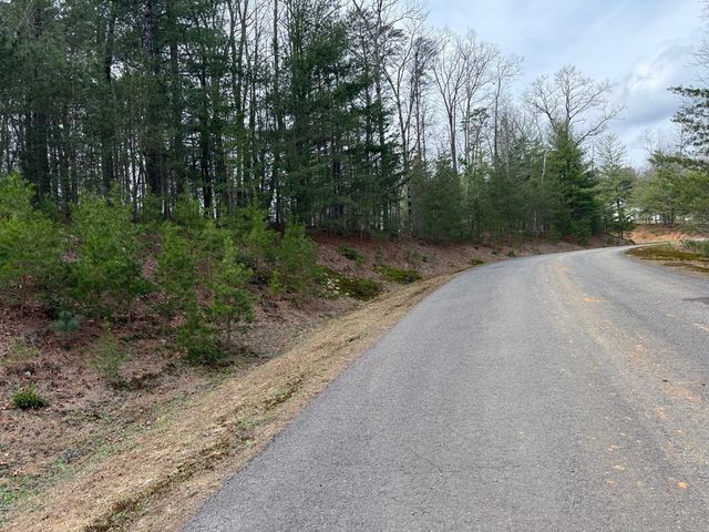 Lot 13 Frances Drive, Ellijay, GA 30536
