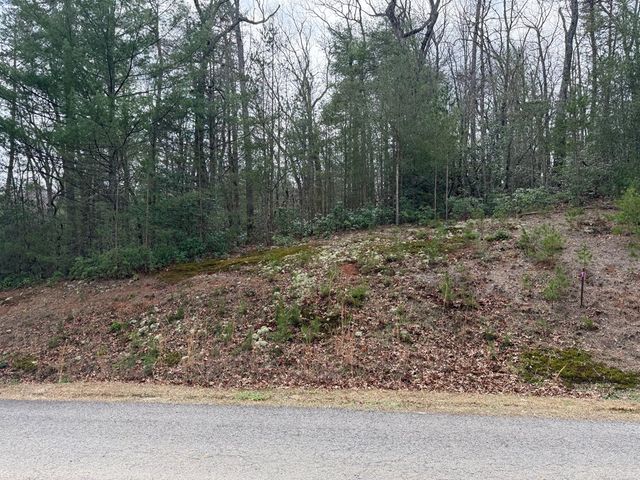 Lot 13 Frances Drive, Ellijay, GA 30536