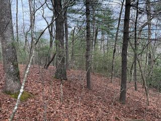 Lot 13 Frances Drive, Ellijay, GA 30536