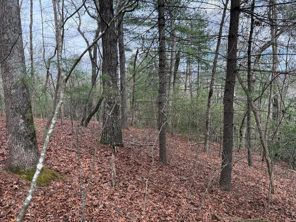 Lot 13 Frances Drive, Ellijay, GA 30536