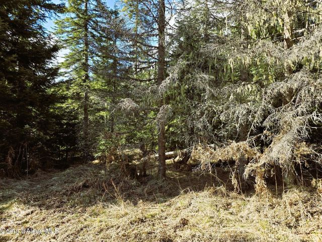 1484 W Elkhorn Meadows Rd, Fernwood, ID 83830