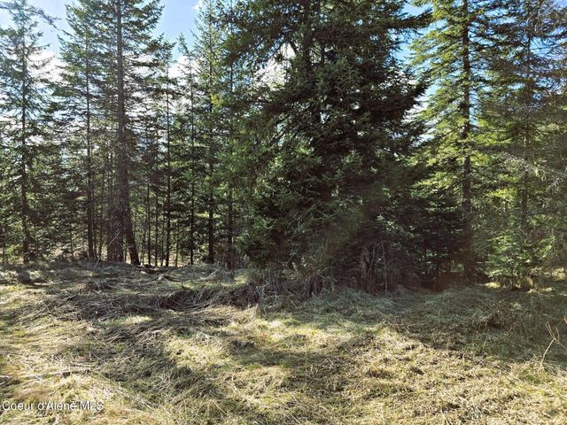 1484 W Elkhorn Meadows Rd, Fernwood, ID 83830