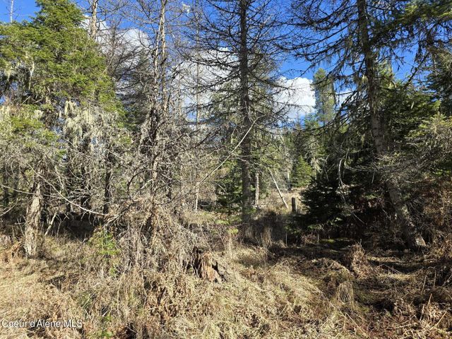 1484 W Elkhorn Meadows Rd, Fernwood, ID 83830