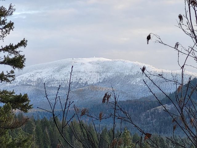 1261 Outback Ln, Usk, WA 99180