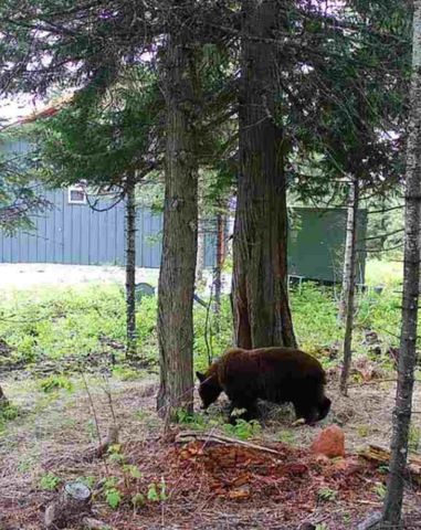 1261 Outback Ln, Usk, WA 99180