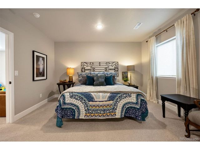 3719 Mojo Ct, Castle Rock, CO 80108