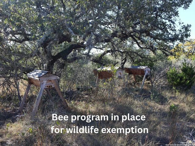 LOT 5 Sophie Dr., Bandera, TX 78003