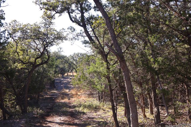LOT 5 Sophie Dr., Bandera, TX 78003