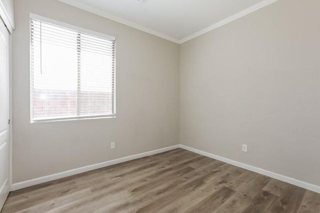 3329 E Powell Court, Gilbert, AZ 85298