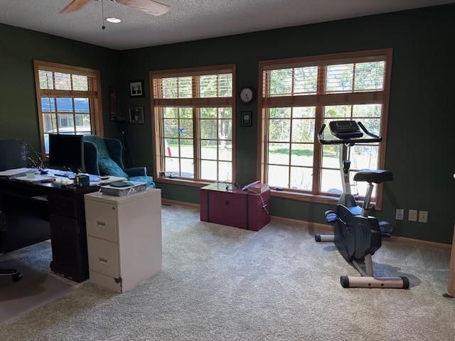 33198 S Prairie Island Drive, Arbo Twp, MN 55744