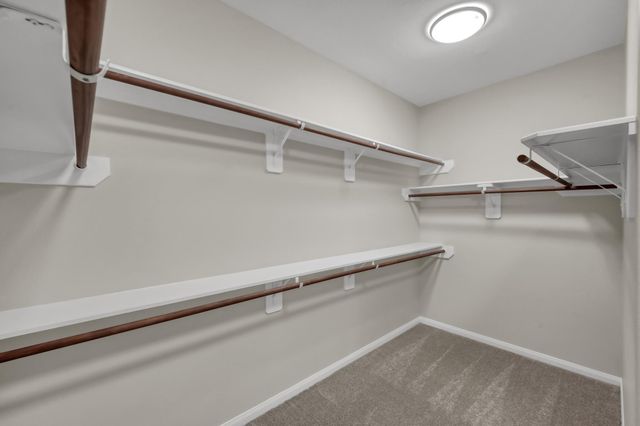 30618 Academy Trace Drive, Spring, TX 77386