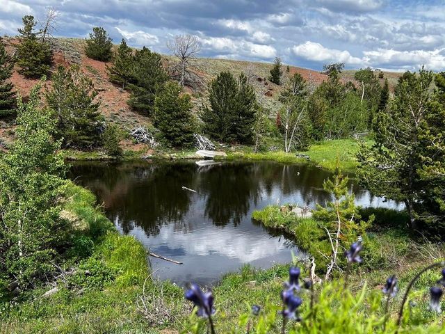 130 Forest Way, Red Feather Lakes, CO 80545