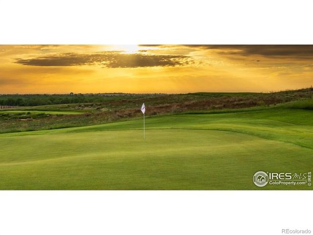 1813 Crisp Air Drive, Windsor, CO 80550