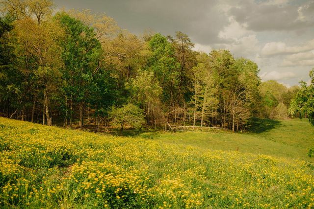 1124 State Hwy 844, West Liberty, KY 41472